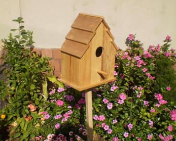Bird House With Pointed Bar